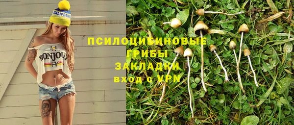 индика Магадан