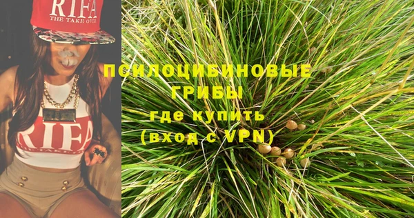 индика Магадан