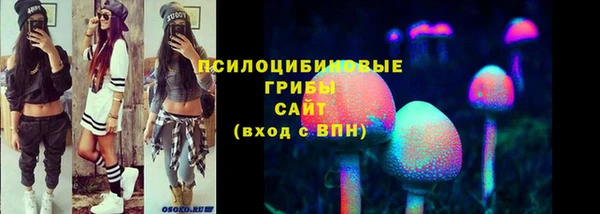 ешки Грязи