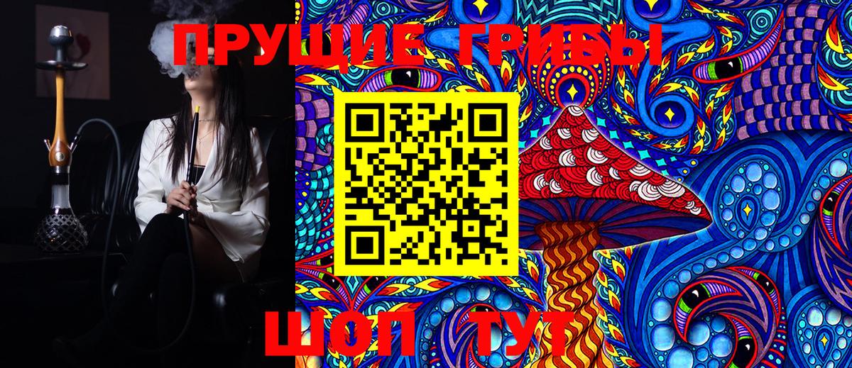 Галлюциногенные грибы Cubensis Луховицы